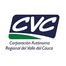 cvc-removebg-preview